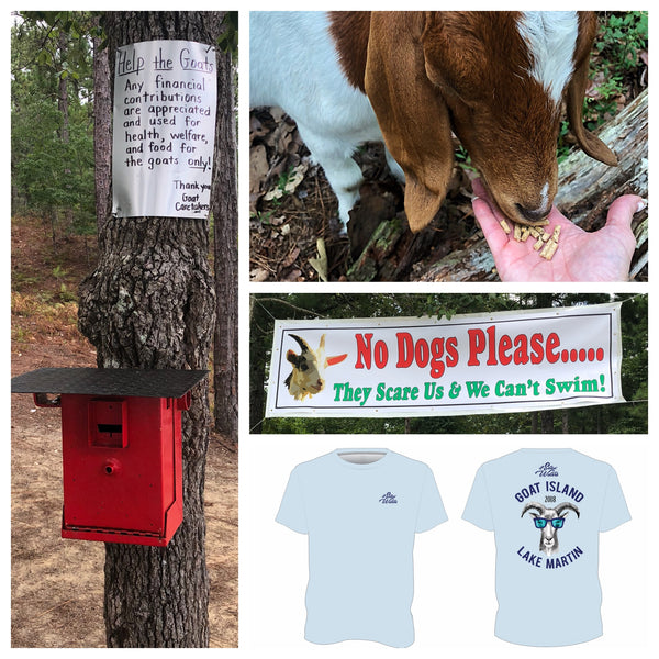 How can you help keep the goats safe on Goat Island?